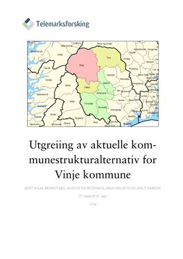 Munestrukturalternativ for Vinje Kommune