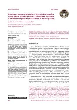 Studies on External Genitalia of Seven Indian Species of the Genus Spilarctia Butler (Lepidoptera: Arctiidae: Arctiinae) Alongwith the Description of a New Species