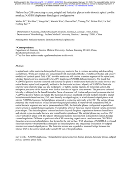 Pial Surface CSF-Contacting Texture, Subpial and Funicular Plexus in the Thoracic Spinal Cord in Monkey: NADPH Diaphorase Histological Configuration