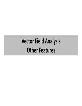 Vector Field Analysis Other Features Topological Features