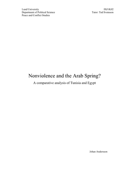 Nonviolence and the Arab Spring?