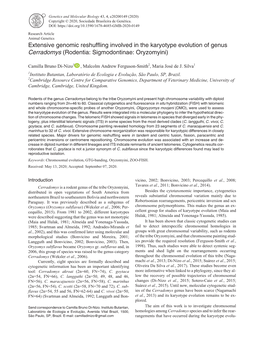 Extensive Genomic Reshuffling Involved in the Karyotype Evolution of Genus Cerradomys (Rodentia: Sigmodontinae: Oryzomyini)