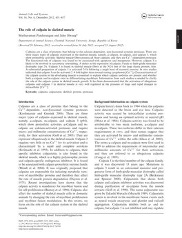 The Role of Calpain in Skeletal Muscle