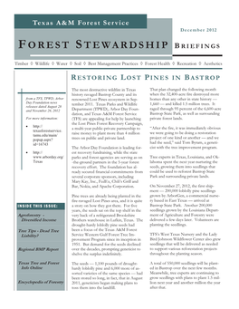 Forest Stewardship Briefings