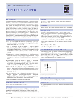 EML1 (3E8): Sc-100938