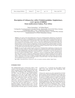 Description of Callopanchax Sidibei (Nothobranchiidae: Epiplateinae), a New Species of Killifish from Southwestern Guinea, West Africa