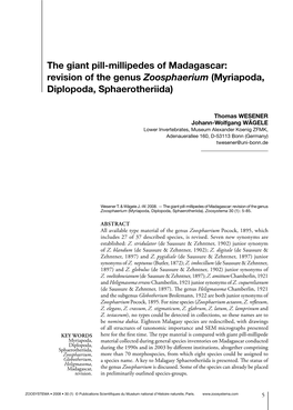 The Giant Pill-Millipedes of Madagascar: Revision of the Genus Zoosphaerium (Myriapoda, Diplopoda, Sphaerotheriida)