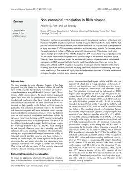 Non-Canonical Translation in RNA Viruses Andrew E