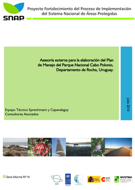 Informe41.Pdf