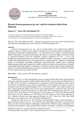 Russula Brunneopurpurea Sp. Nov. and Its Ectomycorrhiza from Pakistan Article