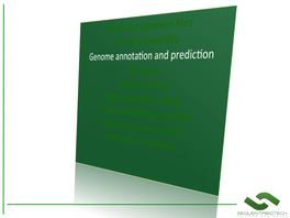 Genome Projects Have Generally Become Small-Scale Affairs That Genome Are Often Carried out by an Annota�On Individual Laboratory