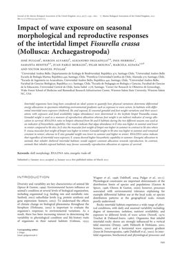 Impact of Wave Exposure on Seasonal Morphological