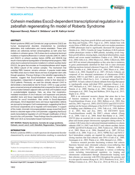 Cohesin Mediates Esco2-Dependent Transcriptional Regulation in a Zebrafish Regenerating Fin Model of Roberts Syndrome Rajeswari Banerji, Robert V