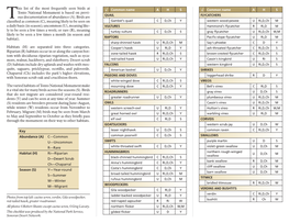 Bird Checklist for Tonto National Monument