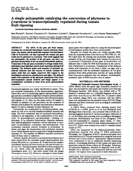 C-Carotene Is Transcriptionally Regulated During Tomato