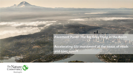 Pavement Panel: the Big Gray Thing in the Room Accelerating GSI