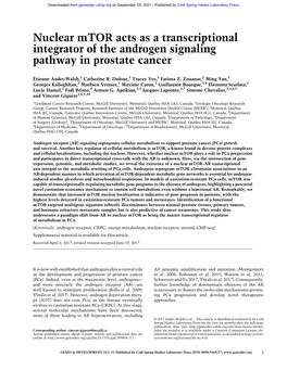 Nuclear Mtor Acts As a Transcriptional Integrator of the Androgen Signaling Pathway in Prostate Cancer