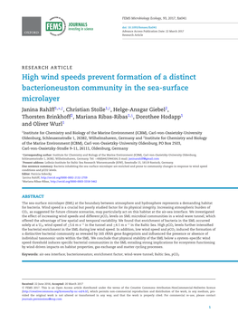 High Wind Speeds Prevent Formation of a Distinct Bacterioneuston
