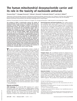 The Human Mitochondrial Deoxynucleotide Carrier and Its Role in the Toxicity of Nucleoside Antivirals