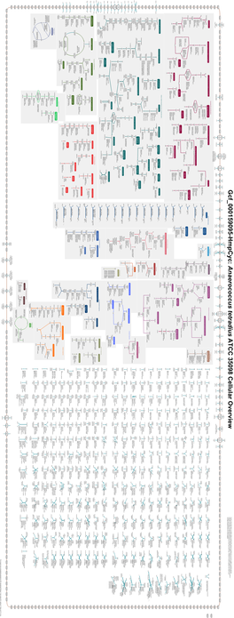 Generated by SRI International Pathway Tools Version 25.0 on Sat Aug 28, 2021