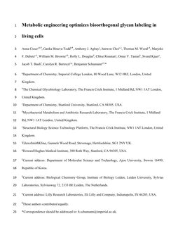 Metabolic Engineering Optimizes Bioorthogonal Glycan Labeling In