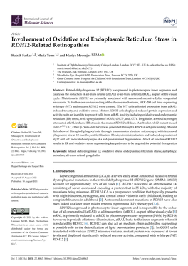 Involvement of Oxidative and Endoplasmic Reticulum Stress in RDH12-Related Retinopathies