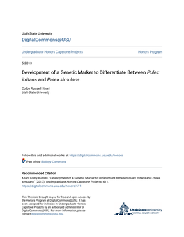 Development of a Genetic Marker to Differentiate Between Pulex Irritans and Pulex Simulans