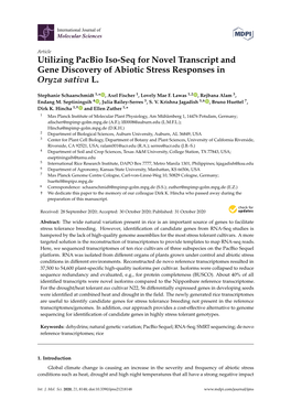 Utilizing Pacbio Iso-Seq for Novel Transcript and Gene Discovery of Abiotic Stress Responses in Oryza Sativa L