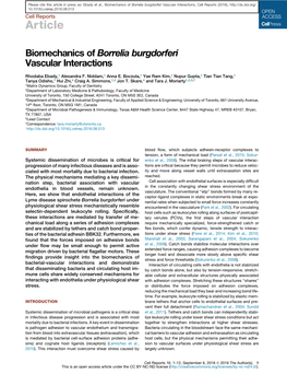 Biomechanics of Borrelia Burgdorferi Vascular Interactions, Cell Reports (2016), 10.1016/J.Celrep.2016.08.013 Cell Reports Article