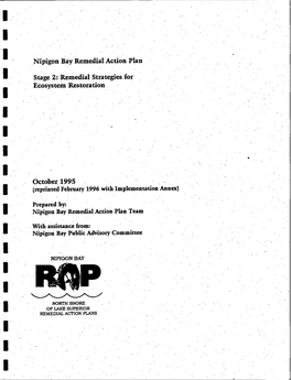 Nipigon Bay Remedial ~ Ction Plan