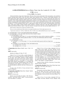 Flora of China 22: 46–48. 2006. 4. GIGANTOCHLOA Kurz Ex Munro