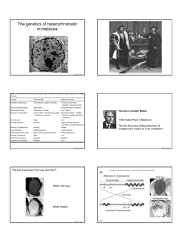 1 the Genetics of Heterochromatin in Metazoa