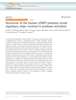 Structures of the Human LONP1 Protease Reveal Regulatory Steps Involved in Protease Activation