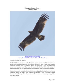 Singapore Raptor Report October 2020