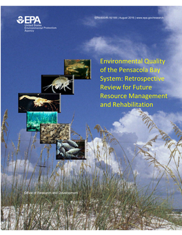 Environmental Quality of the Pensacola Bay System: Retrospective Review for Future Resource Management and Rehabilitation