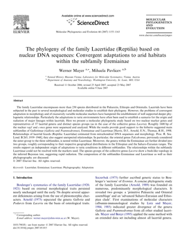 The Phylogeny of the Family Lacertidae (Reptilia) Based on Nuclear DNA Sequences: Convergent Adaptations to Arid Habitats Within the Subfamily Eremiainae