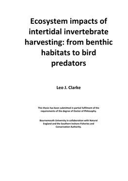 Ecosystem Impacts of Intertidal Invertebrate Harvesting: from Benthic Habitats to Bird