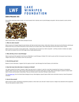 Zebra Mussels 101