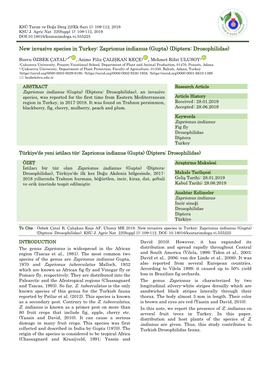 New Invasive Species in Turkey: Zaprionus Indianus (Gupta) (Diptera: Drosophilidae)