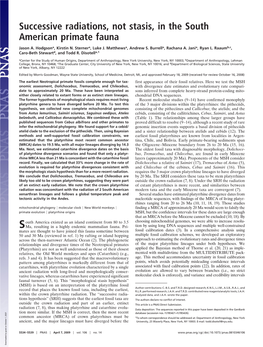 Successive Radiations, Not Stasis, in the South American Primate Fauna