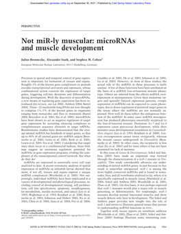 Not Mir-Ly Muscular: Micrornas and Muscle Development