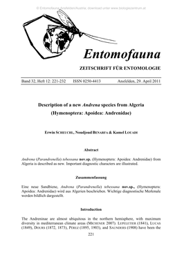 Entomofauna Ansfelden/Austria; Download Unter