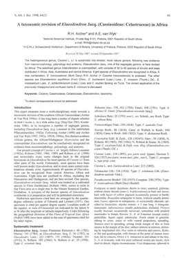 A Taxonomic Revision of Elaeodendron Jacq. (Cassinoideae: Celastraceae) in Africa