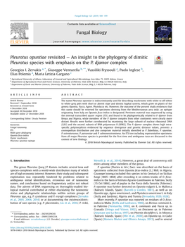 Pleurotus Opuntiae Revisited E an Insight to the Phylogeny of Dimitic Pleurotus Species with Emphasis on the P