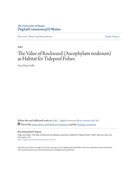 (Ascophylum Nodosum) As Habitat for Tidepool Fishes Amy Marie Gullo