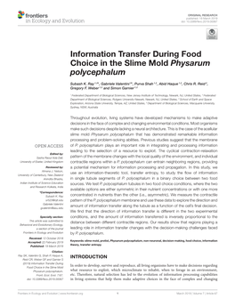 Information Transfer During Food Choice in the Slime Mold Physarum Polycephalum