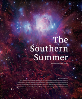 The Southern Summer Download
