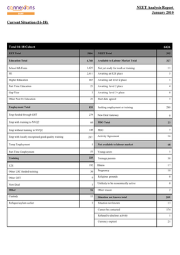 NEET Analysis Report January 2010 Current Situation (16-18)