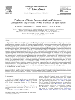 Phylogeny of North American Fireflies