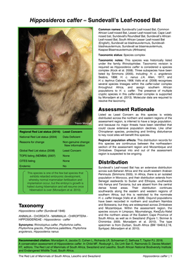 Hipposideros Caffer – Sundevall’S Leaf-Nosed Bat